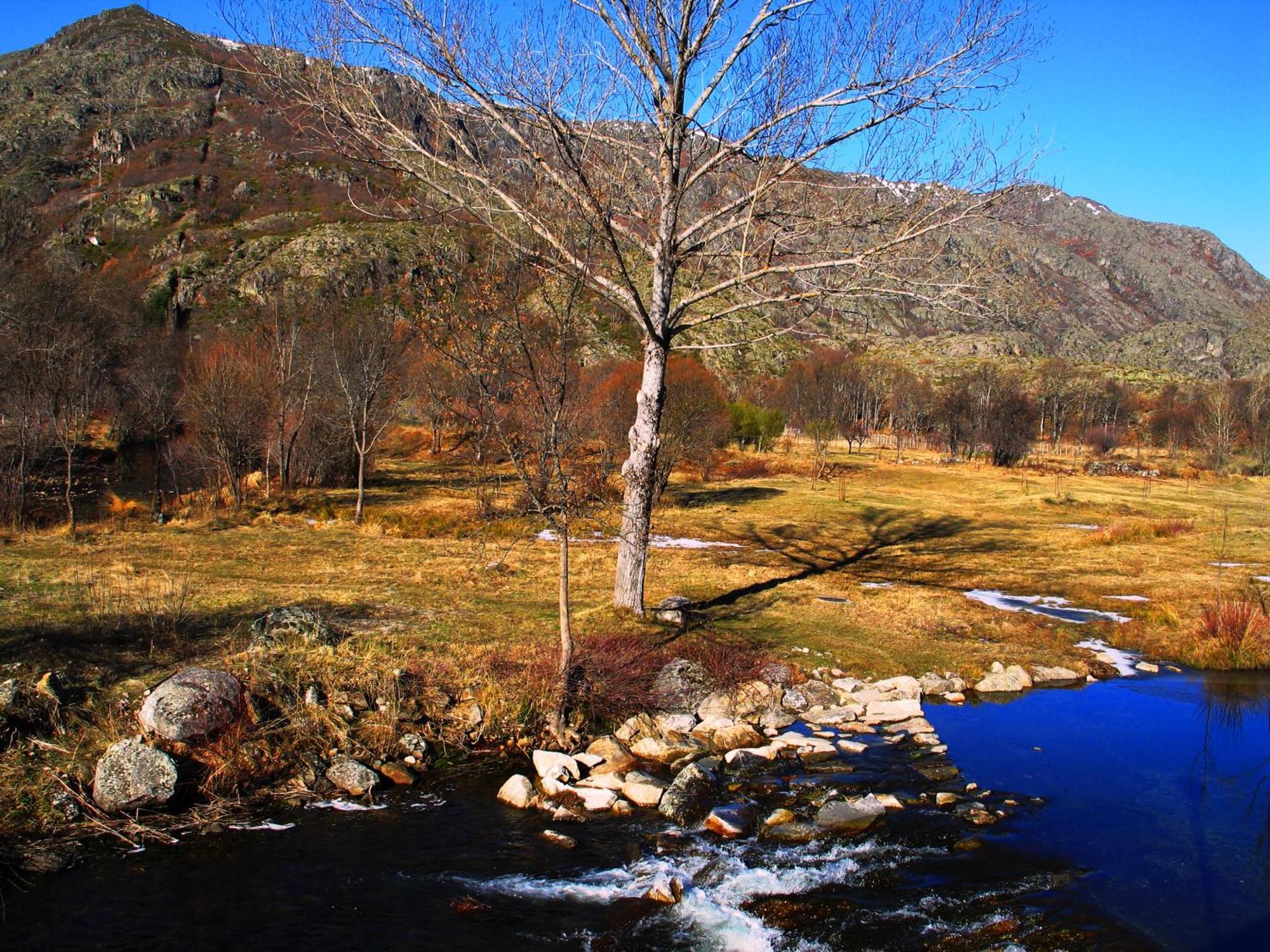 Hostal Martin - Sanabria Ribadelago Екстериор снимка